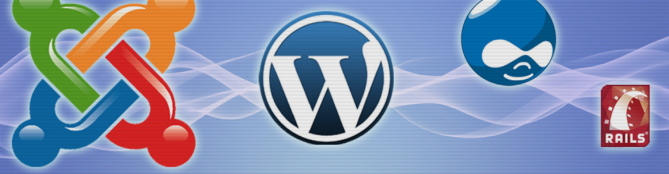 Content Management Systems