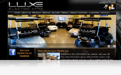 Luxe Electric Car Website Display
